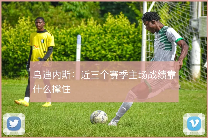 乌迪内斯：近三个赛季主场战绩靠什么撑住