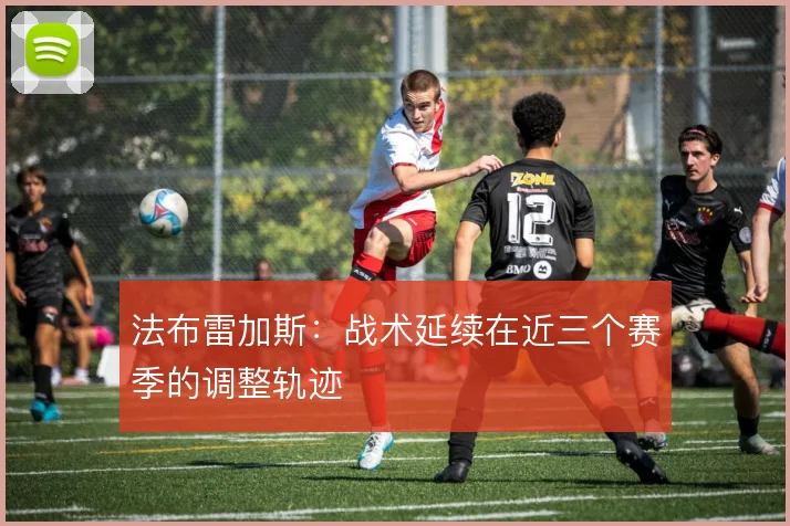 法布雷加斯:战术延续在近三个赛季的调整轨迹